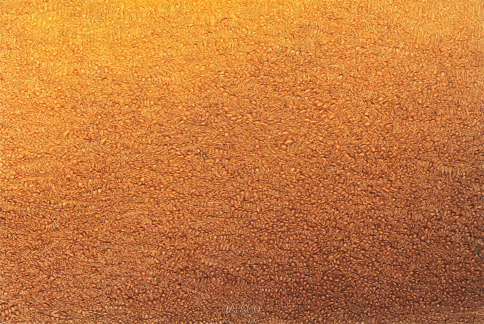 Artist: Dapacu
Oil Painting
Year 2022